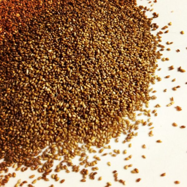 grano-teff-ecologico