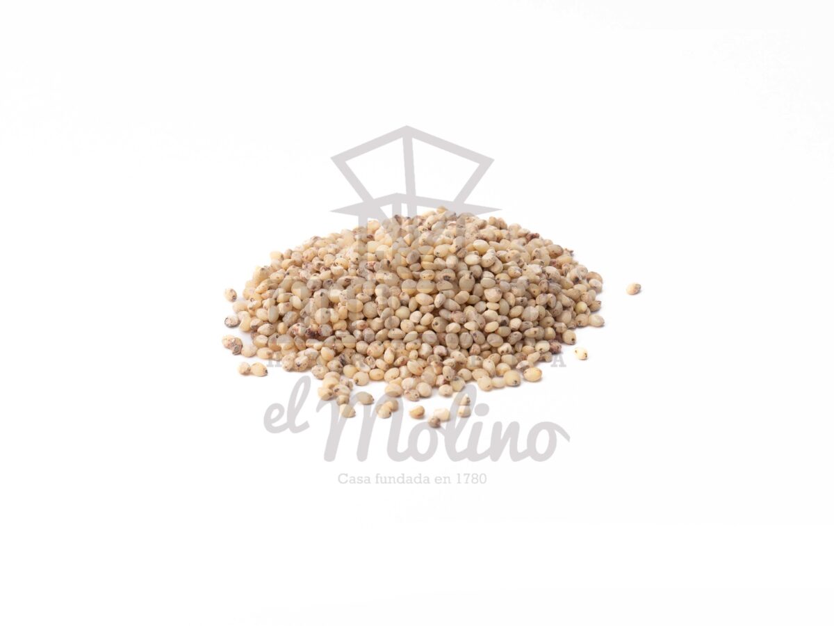 SORGO